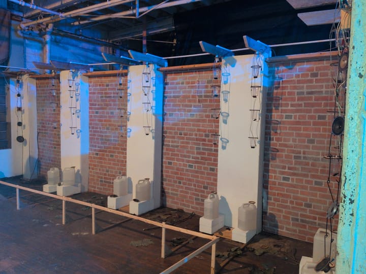 Dripping water triggers sounds, which play back through the hanging arrays of speakers